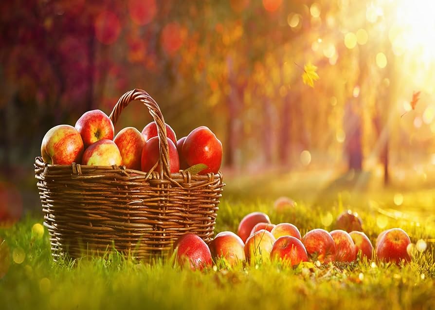 Amazon.com : Loccor 17x10ft Fabric Autumn Harvest Festival